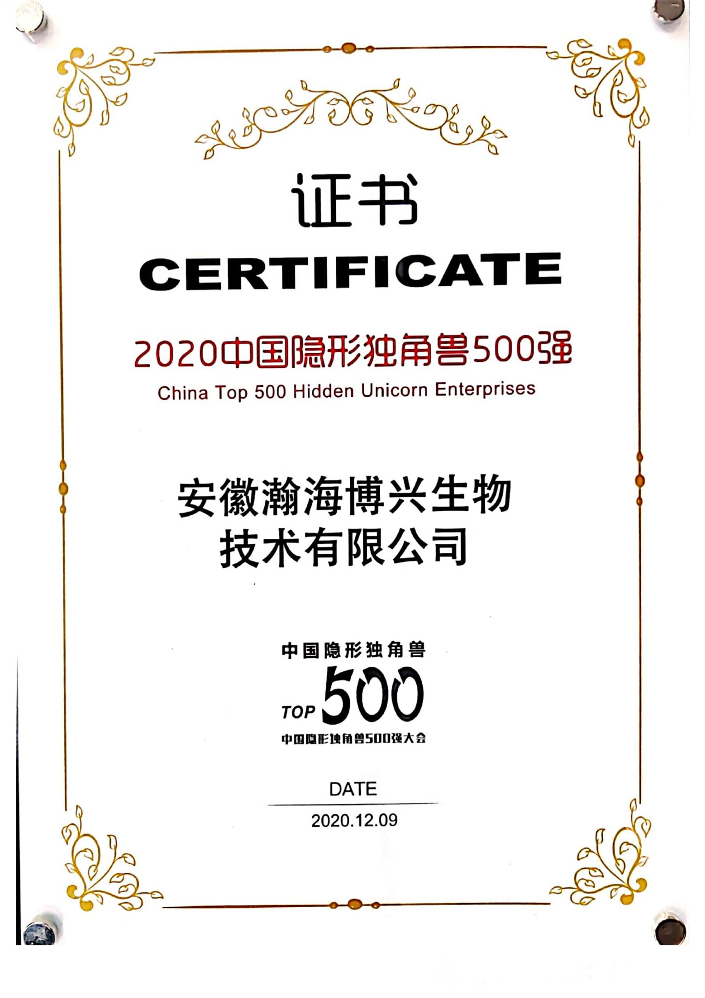 2020年中国隐形独角兽500强